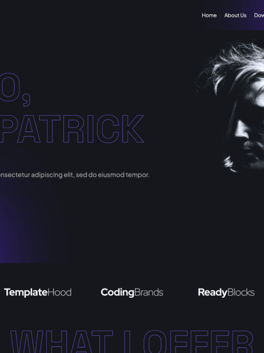 Worklancer WordPress 主题