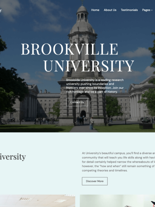 Smartversity WordPress 主题