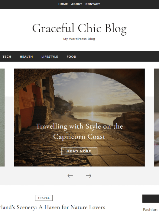 Graceful Chic Blog WordPress 主题