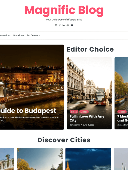 Magnific Blog WordPress 主题