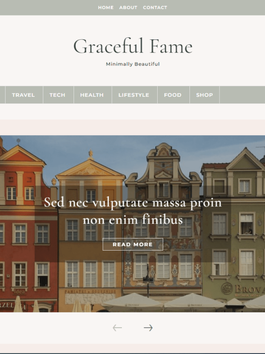 Graceful Fame Blog WordPress 主题
