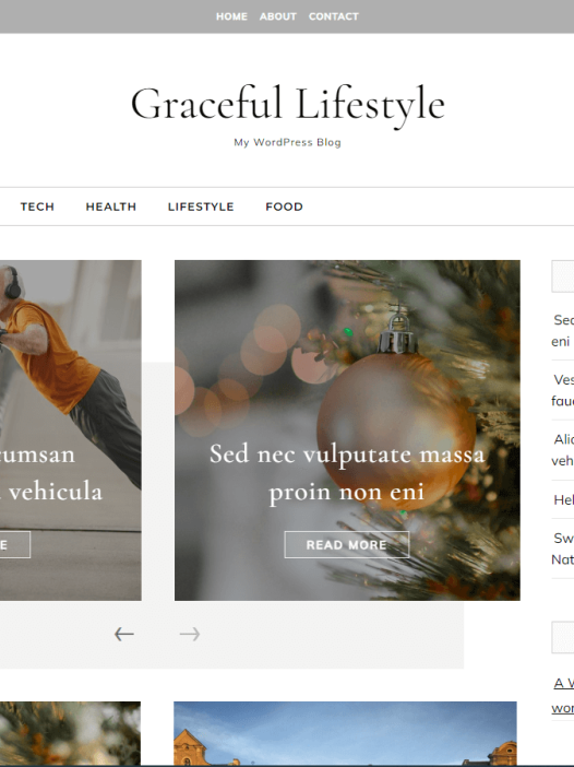 Graceful Lifestyle WordPress 主题