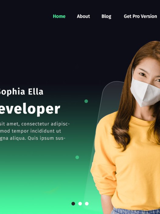 Evita WordPress 主题