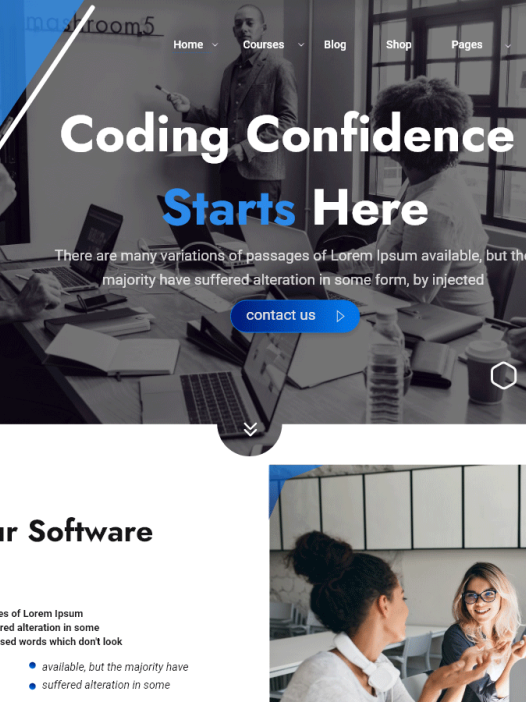 Coaching Institute WordPress 主题