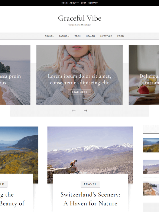 Graceful Vibe WordPress 主题