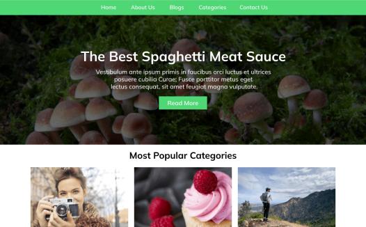 Radiant Blogger WordPress 主题