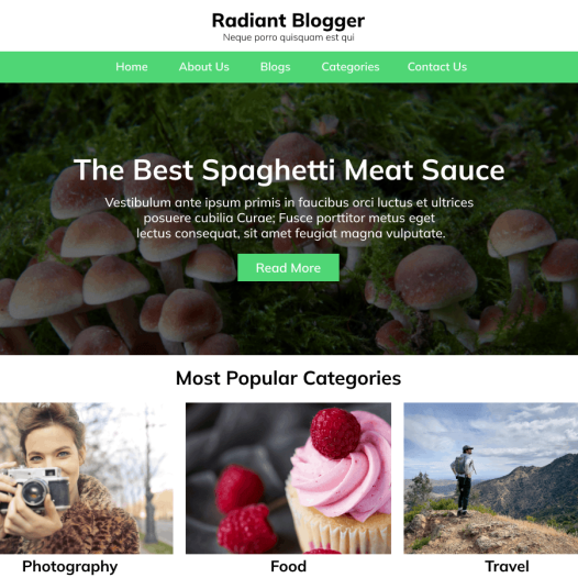 Radiant Blogger WordPress 主题