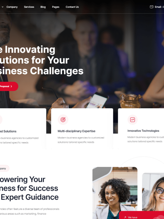 Para WordPress 主题
