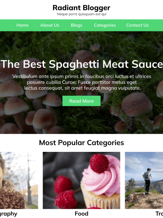 Radiant Blogger WordPress 主题