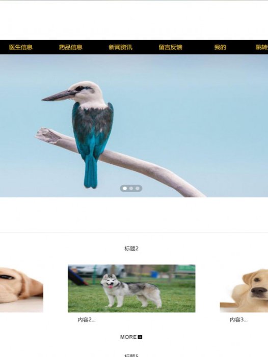 基于java(ssm)宠物医院管理系统