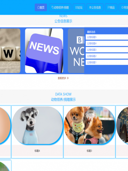 基于java(springboot)流浪动物救助网站