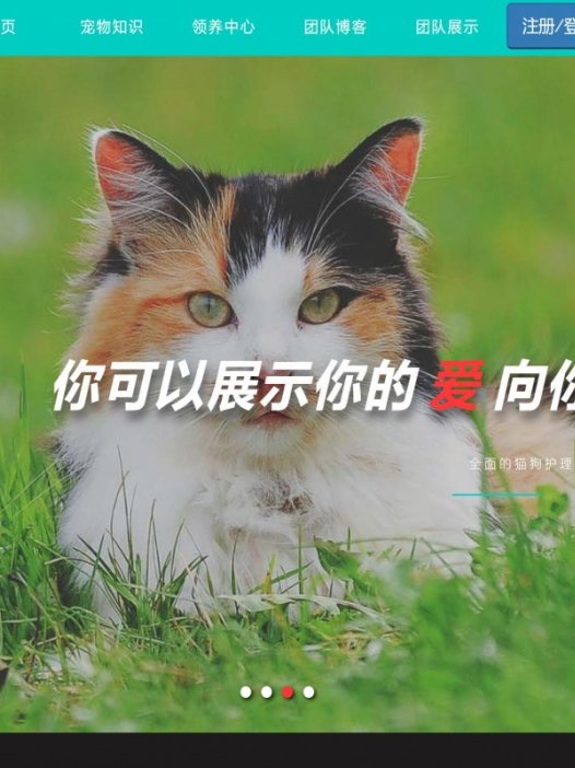 基于java(ssm)宠物领养管理系统