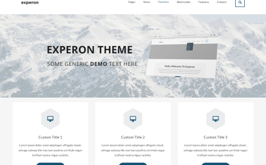 Experon Biz WordPress 主题