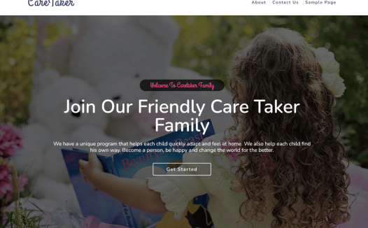 Caretaker WordPress 主题