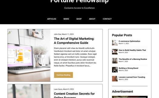 AffiliBlog WordPress 主题