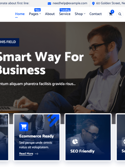 TrueSoft WordPress 主题