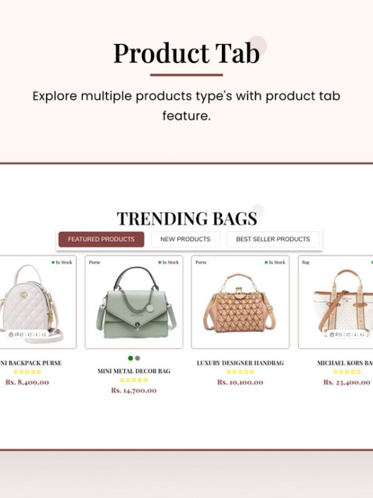 Bagstore - Mega Bag Super Shopify 2.0 主题